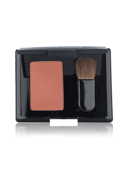 Blusher Terracotta